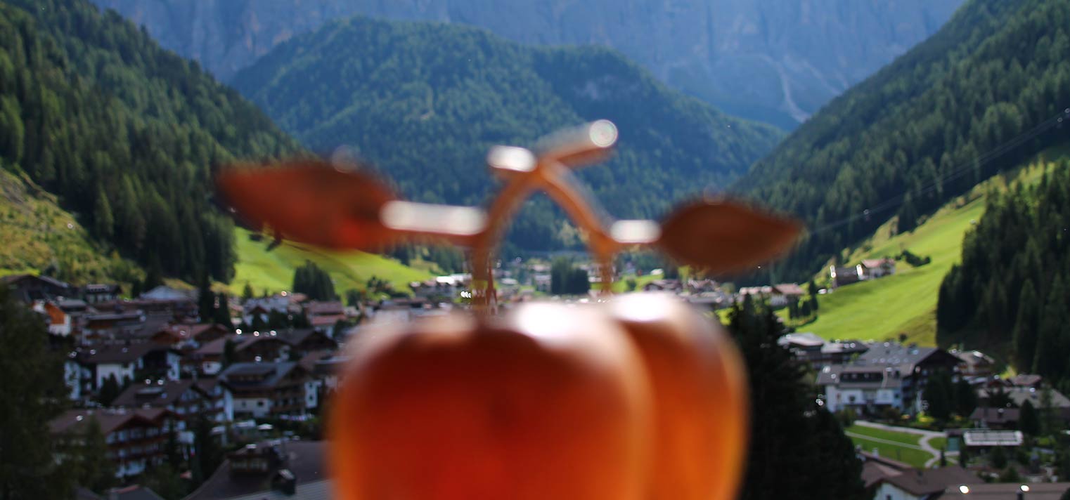 Apartments Edelraut for your vacations in Selva in Val Gardena in South Tyrol, Dolomites