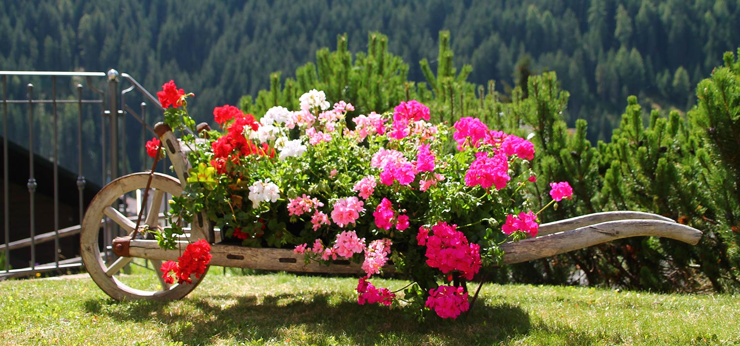 Appartamenti Edelraut in Alto Adige - Italia